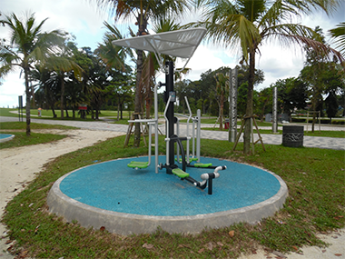 Local Community Events