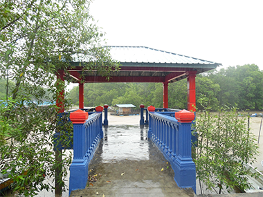 Local Community Events